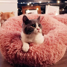 Load image into Gallery viewer, Calming Anti-Anxiety Cat Bed - WOW BRANDZ