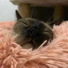 Load image into Gallery viewer, Calming Anti-Anxiety Cat Bed - WOW BRANDZ