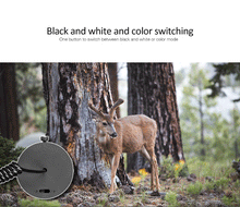 Load image into Gallery viewer, Satcomm® Night Vision Scope Camera - WOW BRANDZ