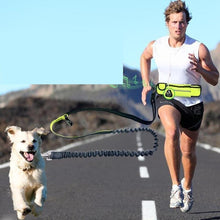 Load image into Gallery viewer, Handsfree Bungee Dog Leash with Waist Bag - WOW BRANDZ