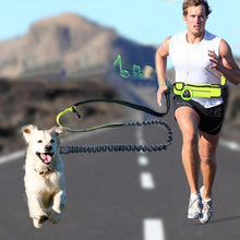 Load image into Gallery viewer, Handsfree Bungee Dog Leash with Waist Bag - WOW BRANDZ
