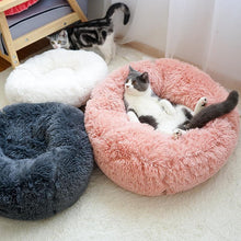 Load image into Gallery viewer, Calming Anti-Anxiety Cat Bed - WOW BRANDZ