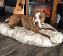 Load image into Gallery viewer, Orthopedic Sofa Dog Bed With Vegan Fur, Memory Foam - WOW BRANDZ