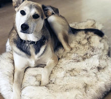 Load image into Gallery viewer, Orthopedic Sofa Dog Bed With Vegan Fur, Memory Foam - WOW BRANDZ