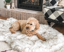 Load image into Gallery viewer, Orthopedic Sofa Dog Bed With Vegan Fur, Memory Foam - WOW BRANDZ