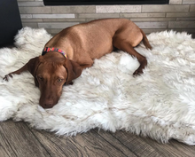 Load image into Gallery viewer, Orthopedic Sofa Dog Bed With Vegan Fur, Memory Foam - WOW BRANDZ