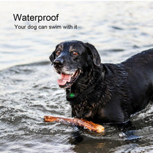 Load image into Gallery viewer, TranStar® Wireless Dog Fence - WOW BRANDZ