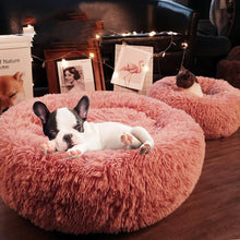 Load image into Gallery viewer, Calming Anti-Anxiety Cat Bed - WOW BRANDZ
