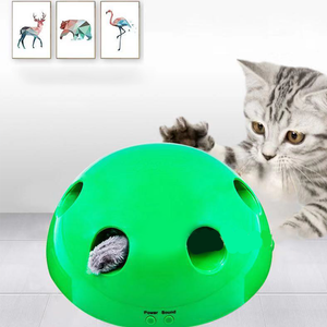 Interactive Motion Cat Toy - WOW BRANDZ