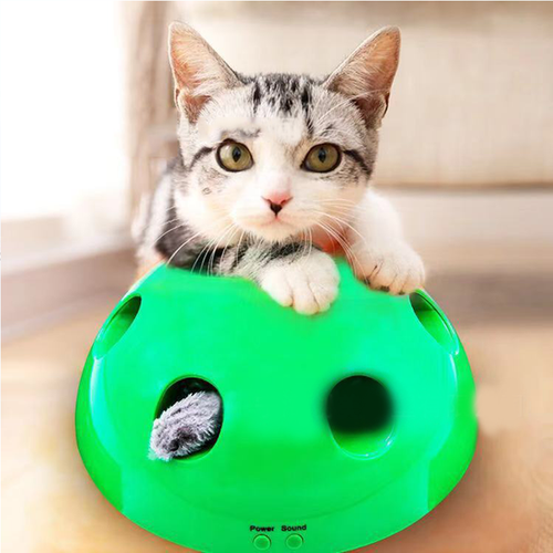 Interactive Motion Cat Toy - WOW BRANDZ