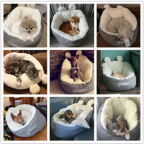 Cozy Pet Bed for Cat and Dog - WOW BRANDZ