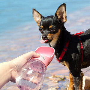 PupBud+ Portable Dog Water Bottle - WOW BRANDZ