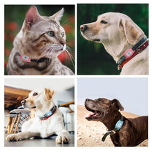 Load image into Gallery viewer, GPS Tracker Pet Tracking Collar Waterproof, Adjustable - WOW BRANDZ
