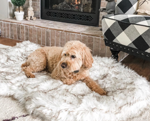 Load image into Gallery viewer, Orthopedic Sofa Dog Bed With Vegan Fur, Memory Foam - WOW BRANDZ
